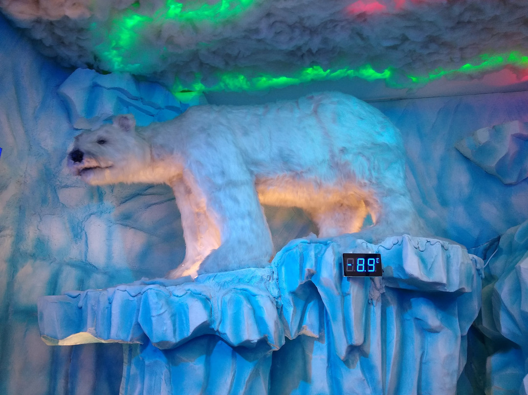 Iceland - Bar de Gelo-坎普斯－杜若尔当必去景点