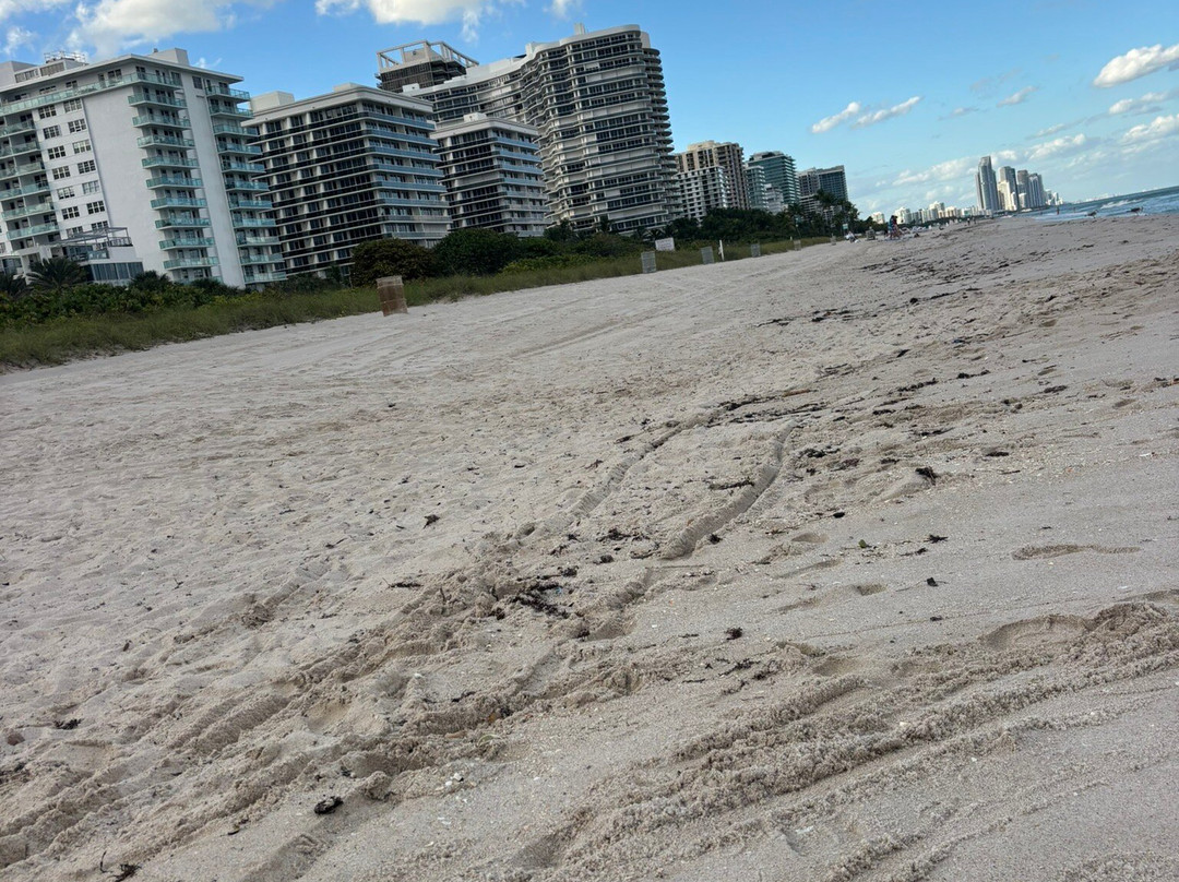 Surfside Beach-瑟夫赛德必去景点