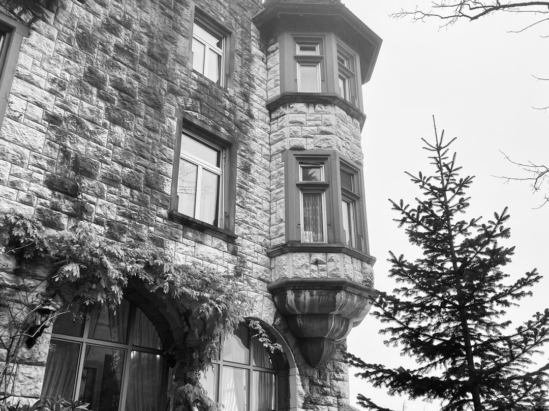 Hotel Park Villa主图