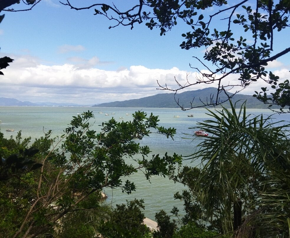 Trilha do Morro do Macaco-Bombinhas必去景点