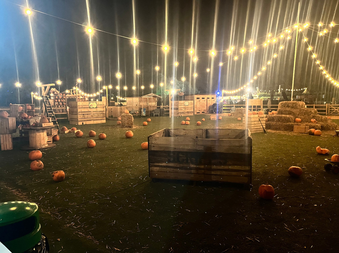 Quex Adventure Farm Park-Birchington必去景点