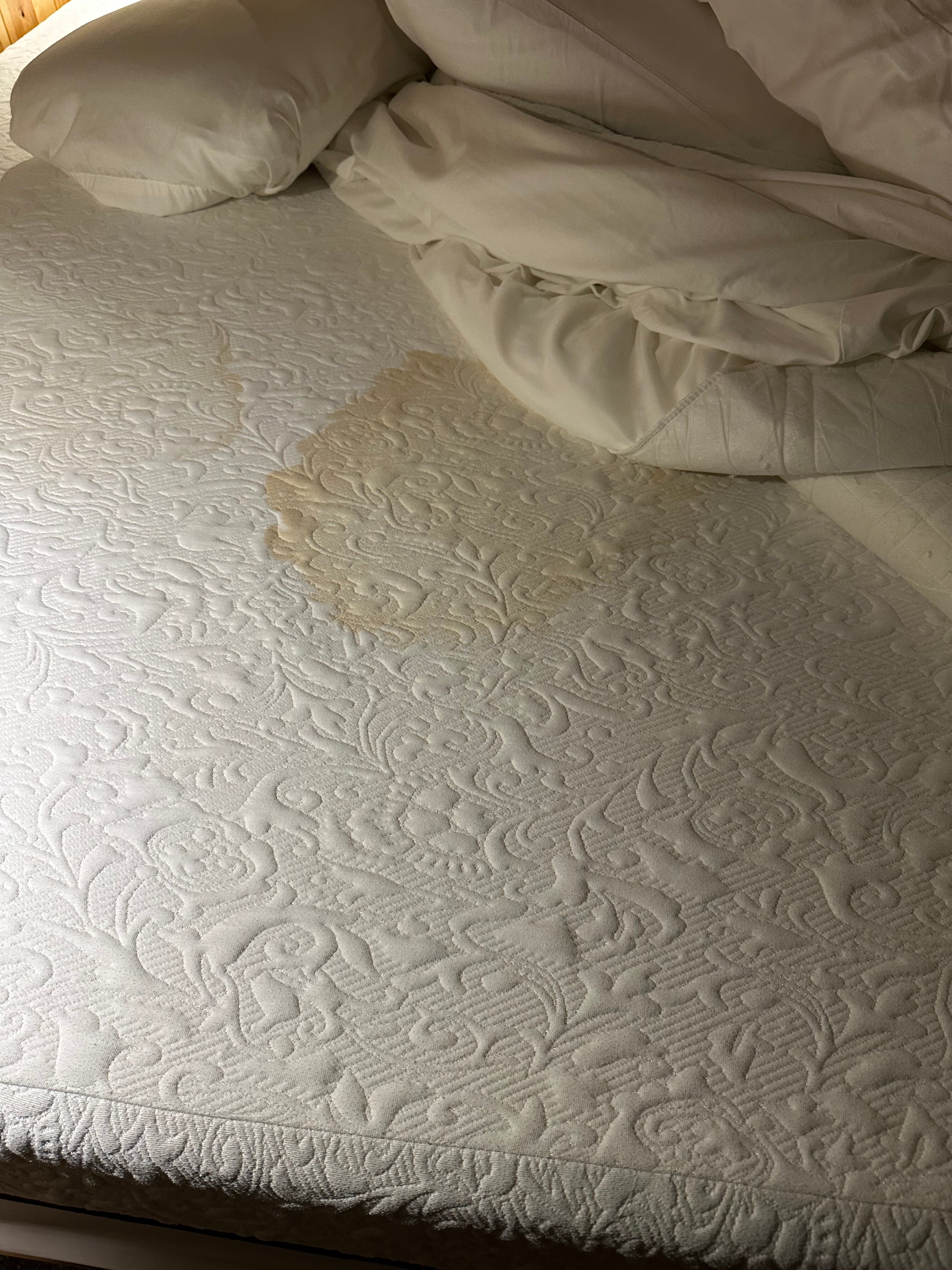 Wall Street Suites-官方