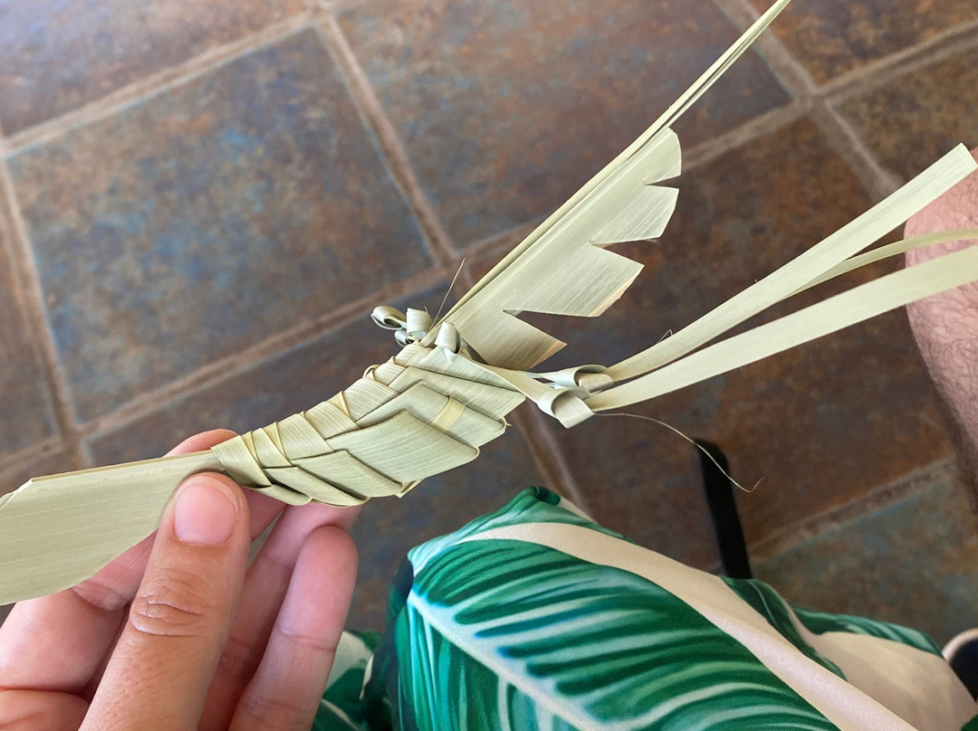 La Maison du Coco-圣亮必去景点