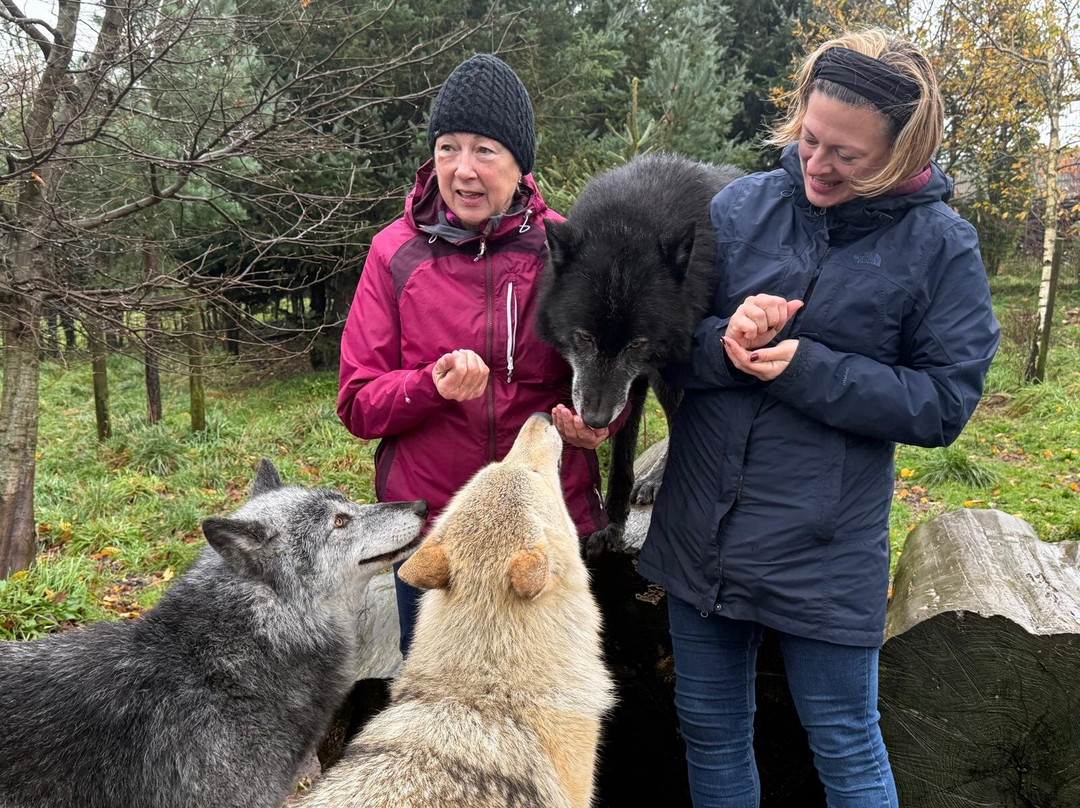 Predator Park-Ayside必去景点