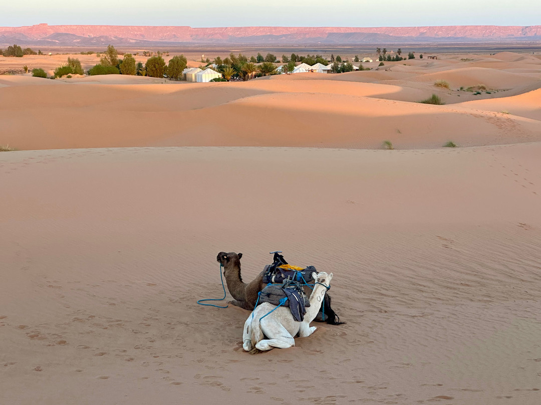 Moroccan Guides Travel-马拉喀什必去景点