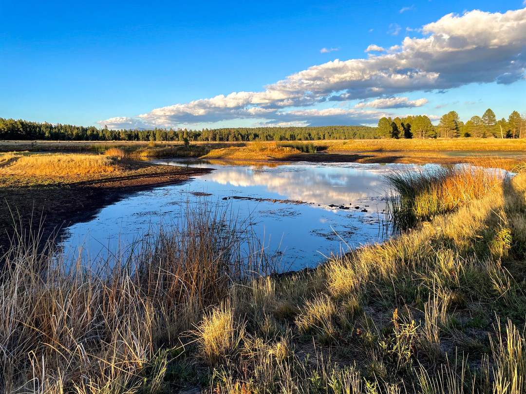 Backland Luxury Nature Resort主图