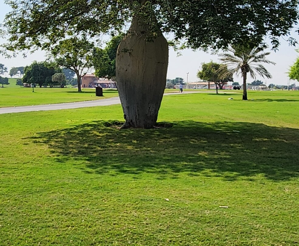 渴望园区-多哈必去景点