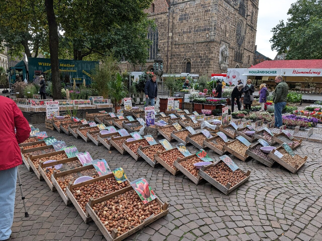 Unser Lieben Frauen Kirchhof-不莱梅必去景点