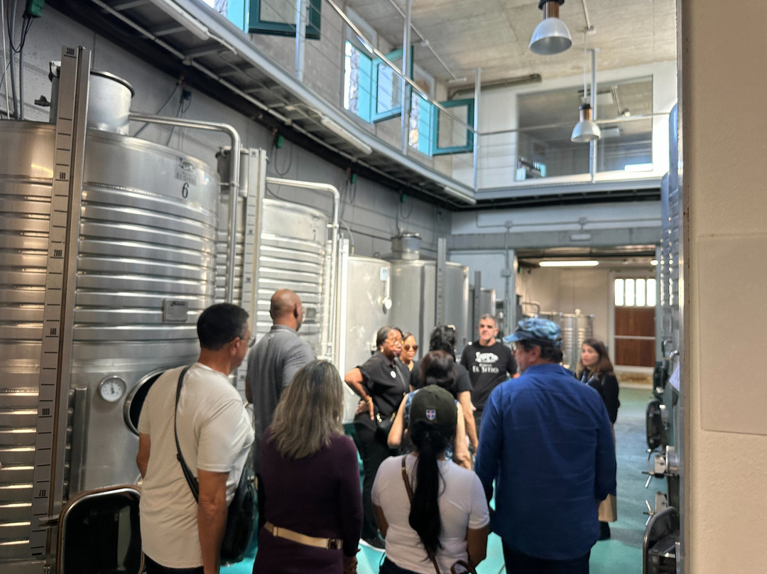 Bodega El Sitio De San Juan