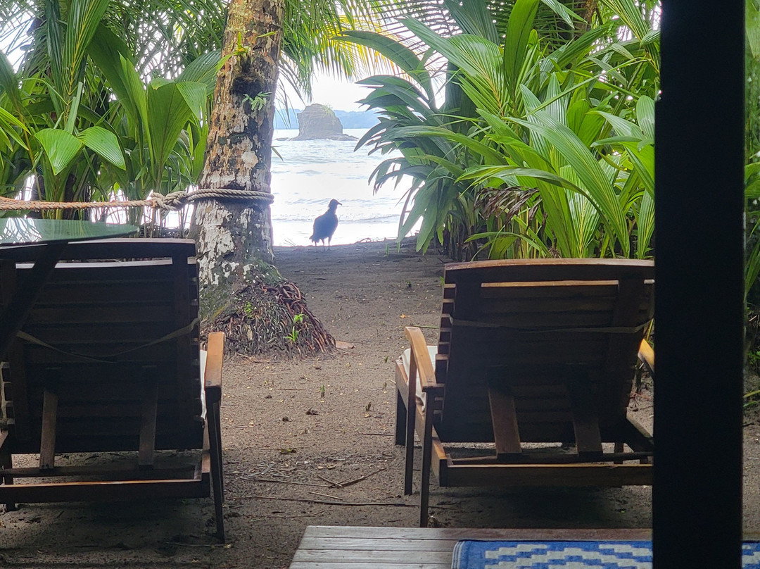 Isla Palenque Resort主图