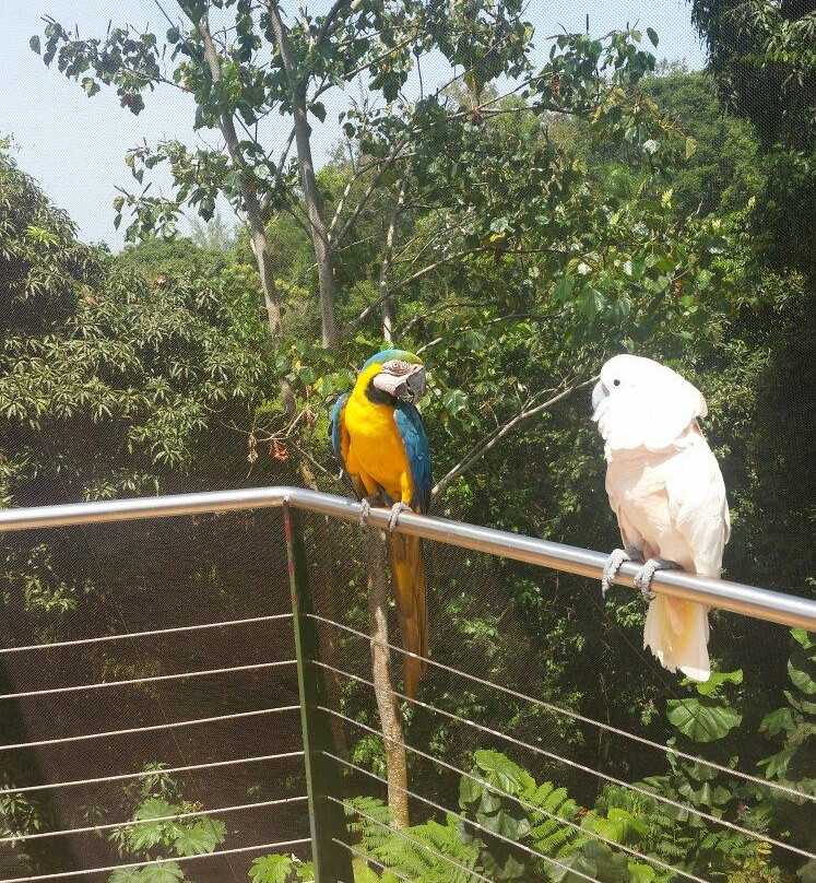 Parque Forestal La Marquesa-Guaynabo必去景点