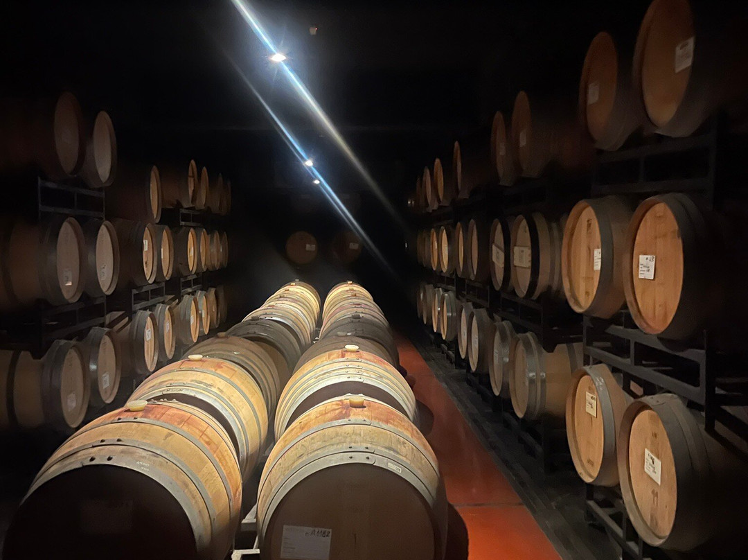 Pulenta Estate Winery-阿格雷洛必去景点