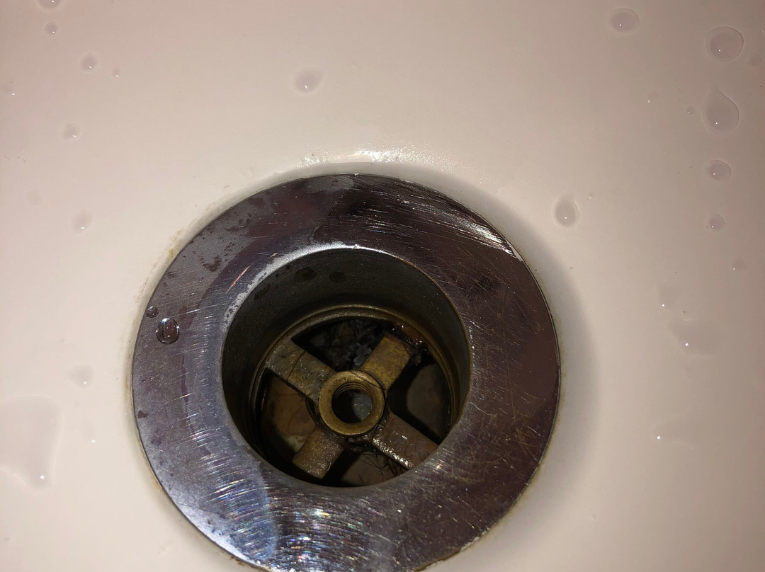 Holiday Inn Express & Suites Dickson By IHG主图