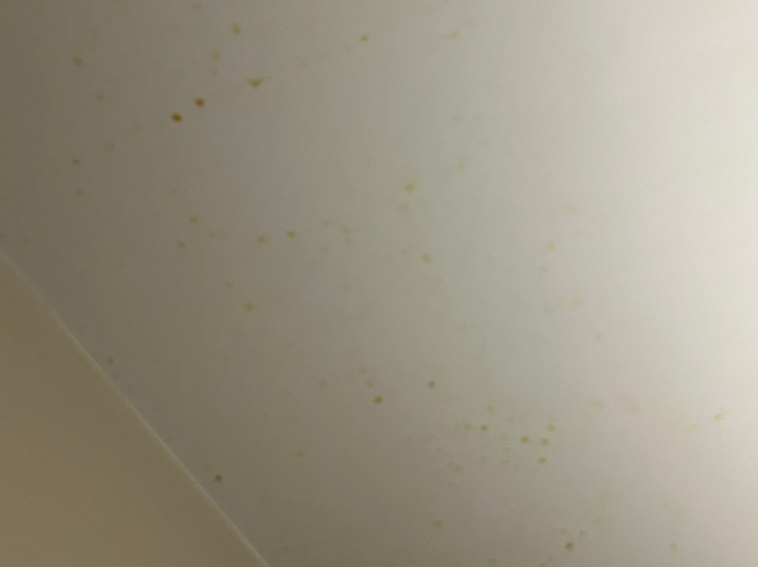 Villiers Hotel主图