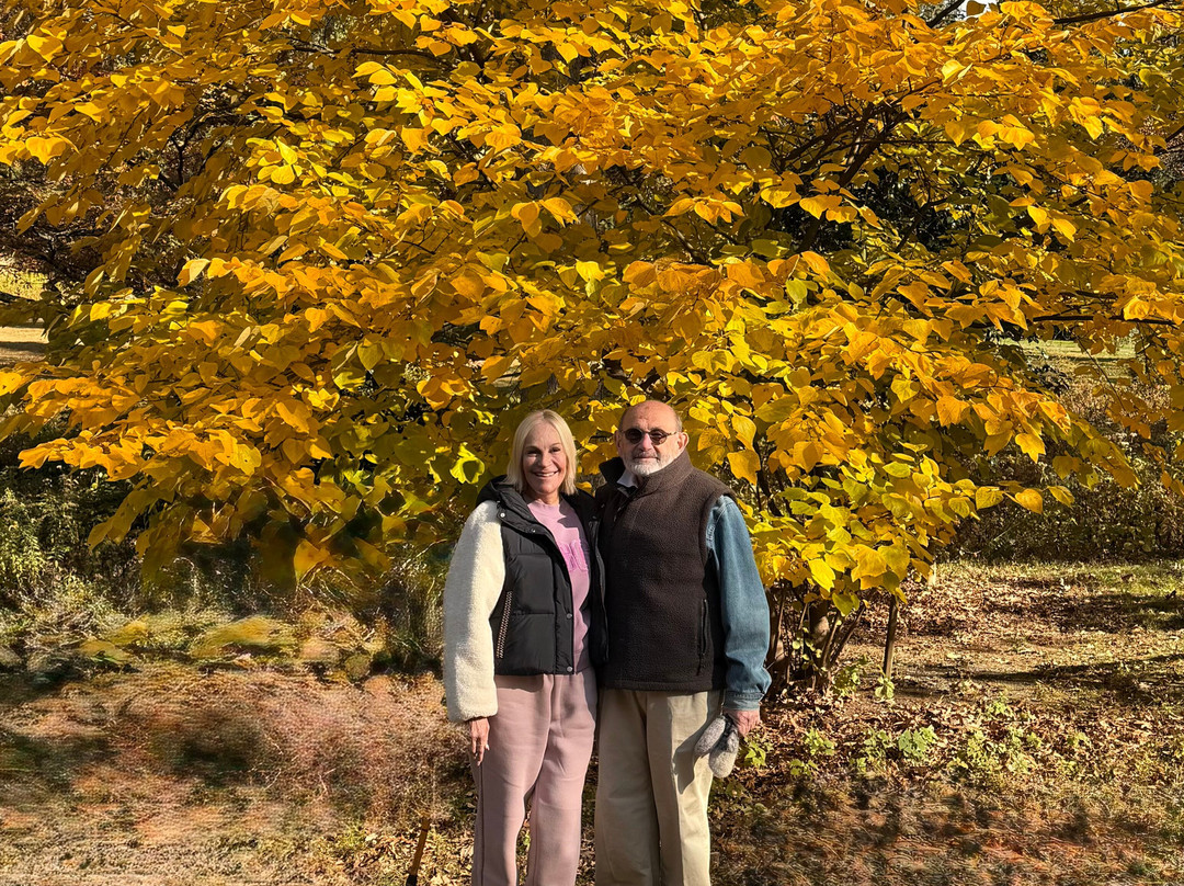 The Frelinghuysen Arboretum-莫里斯敦必去景点