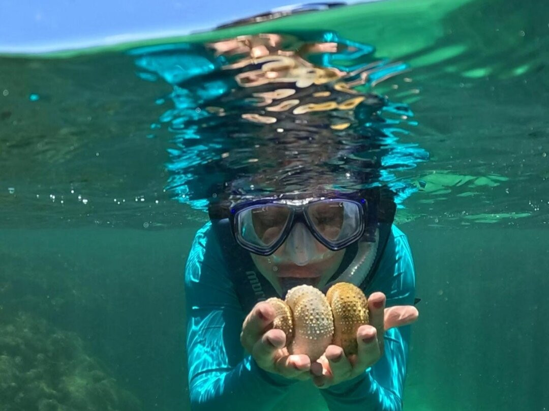 Mergulho Consciente-Taipus de Fora必去景点