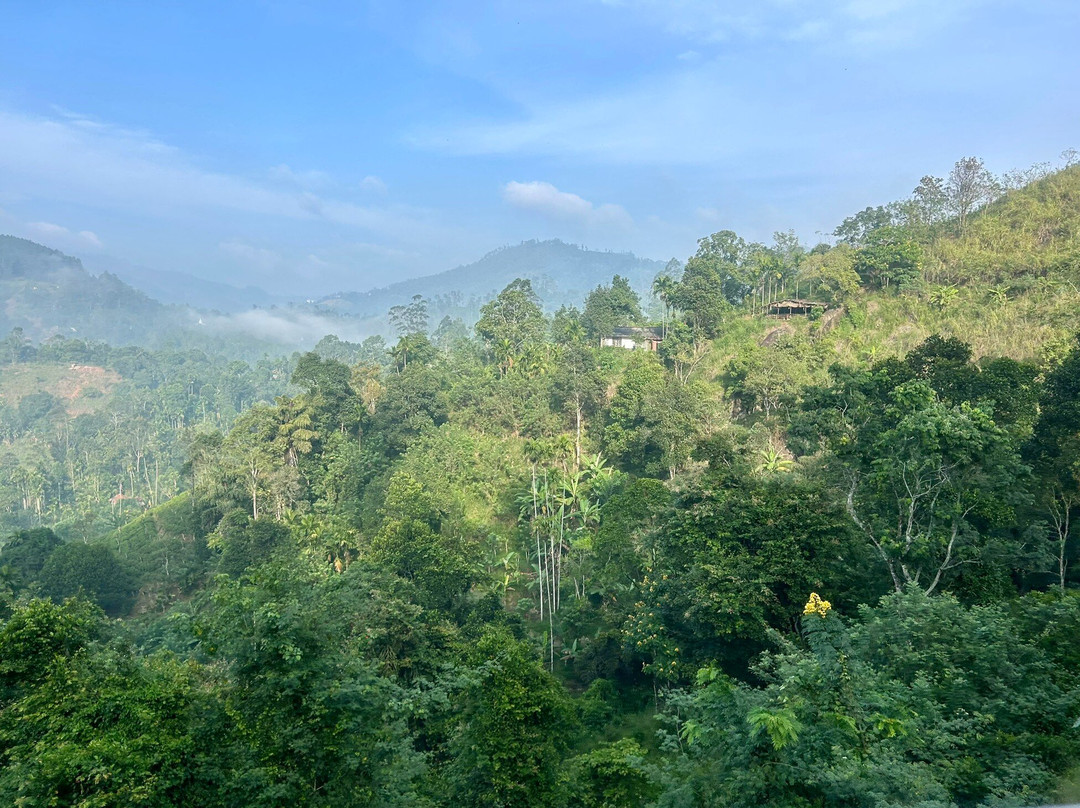 Big Brother Tours And Travels-亚洪加拉必去景点