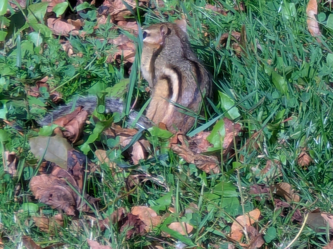Cavendish Cliffs-卡文迪西必去景点