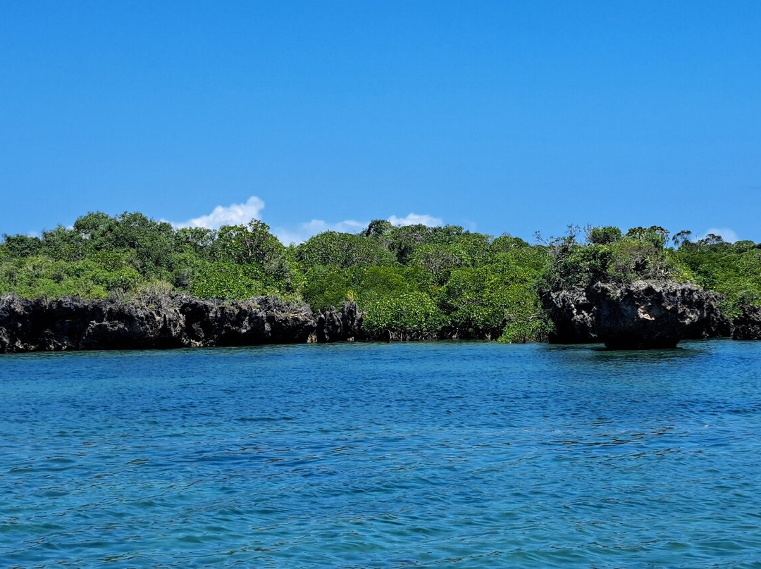 Wasini Trips-Wasini Island必去景点