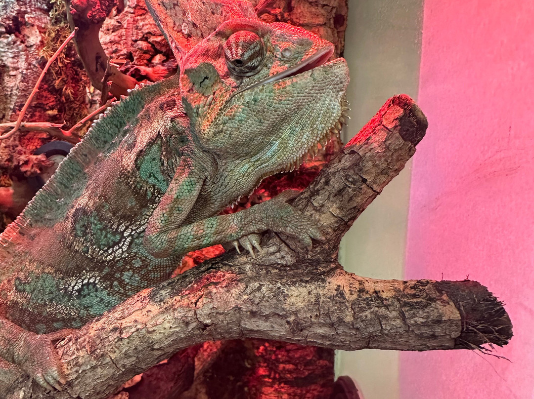 Strana Enotiya-克拉斯诺亚尔斯克必去景点