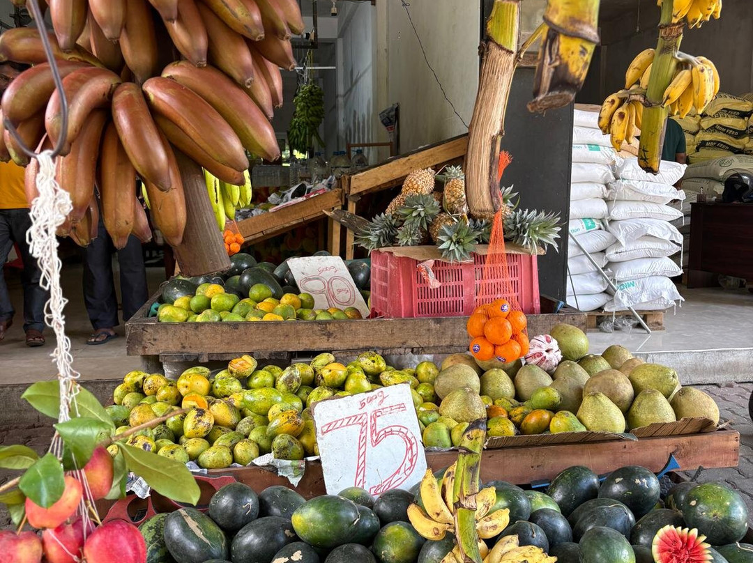 Sanju Tours-Minuwangoda必去景点