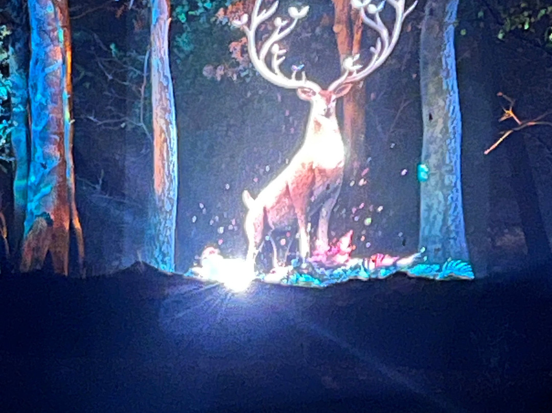 Aquavia Lumina-Lake Delton必去景点