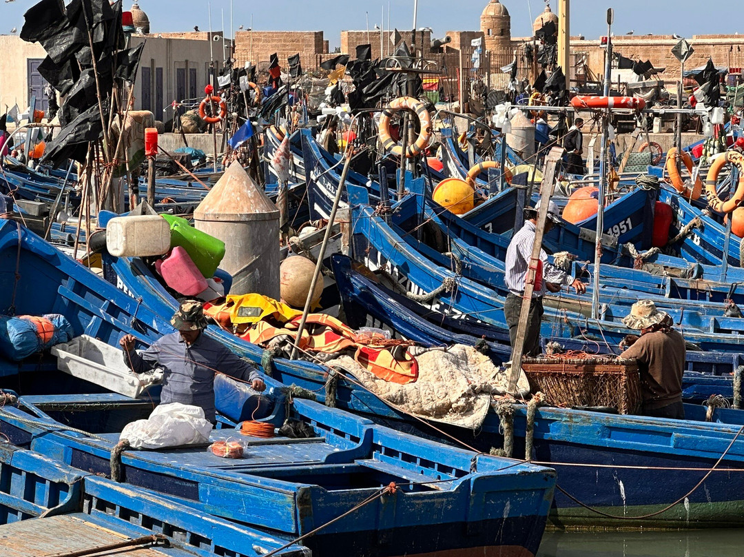 Sahara Tours Marocco-马拉喀什必去景点