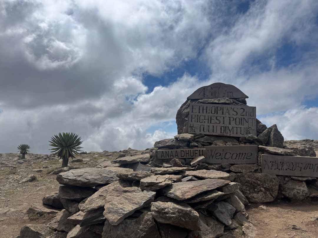 Bale Trek Ethiopia Tours-Goba必去景点