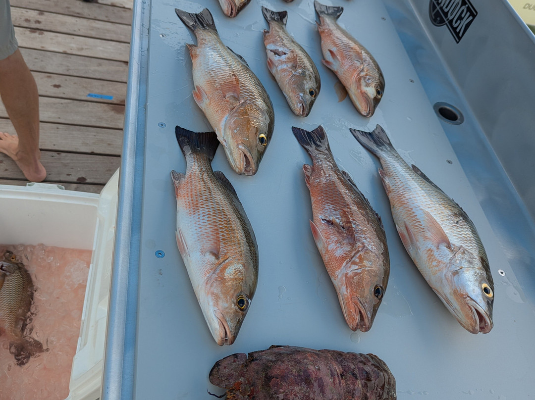 Better Than Most Scuba-马拉松必去景点