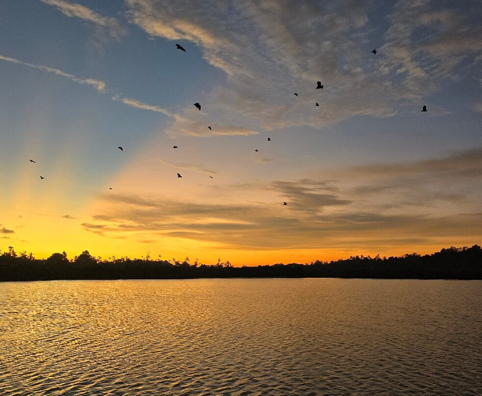 Mirissa Eco Lagoon Safari-美蕊沙必去景点