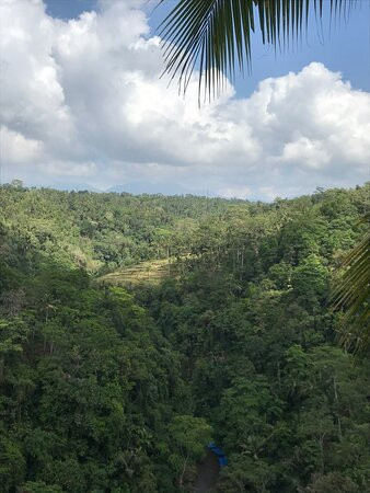 爱咏乌布度假酒店主图