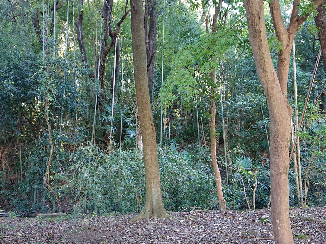 Shiroyama Park-桶川市必去景点