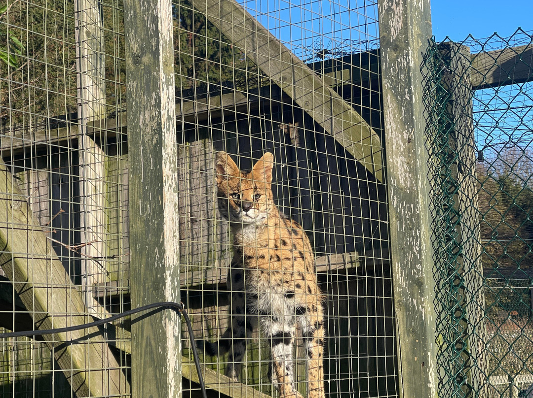 Hoo Zoo And Dinosaur World-特尔福德必去景点