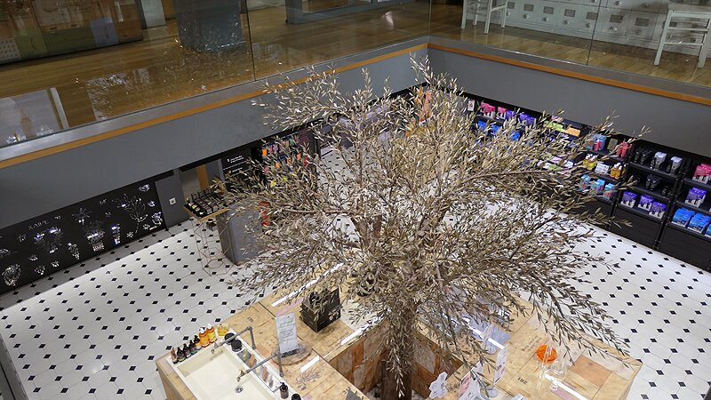 The Apivita Experience Store-雅典必去景点