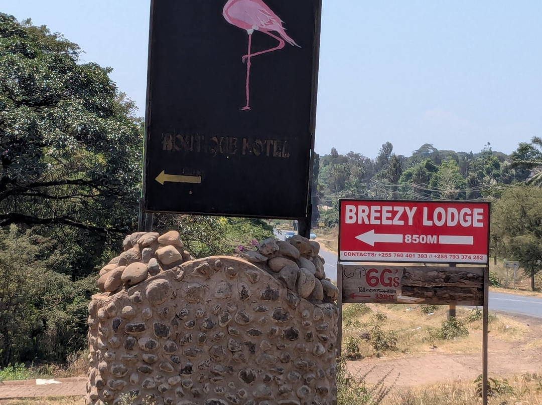 Pink Flamingo Boutique Hotel主图