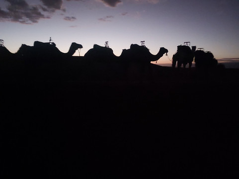 Desert Du Maroc-迈哈米德必去景点