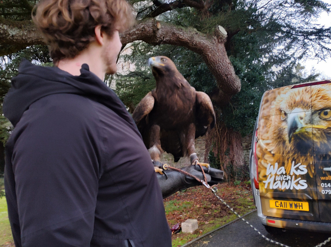 Walks With Hawks-切尔滕纳姆必去景点