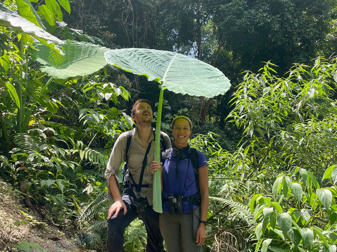 Sumatra Ketambe Jungle Tours-Ketambe必去景点