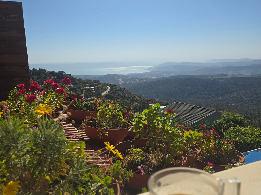 Ohn Bar Guesthouse主图