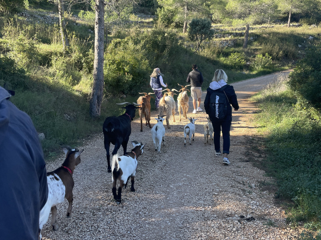 Euro Goat Trekkers-Tarbena必去景点