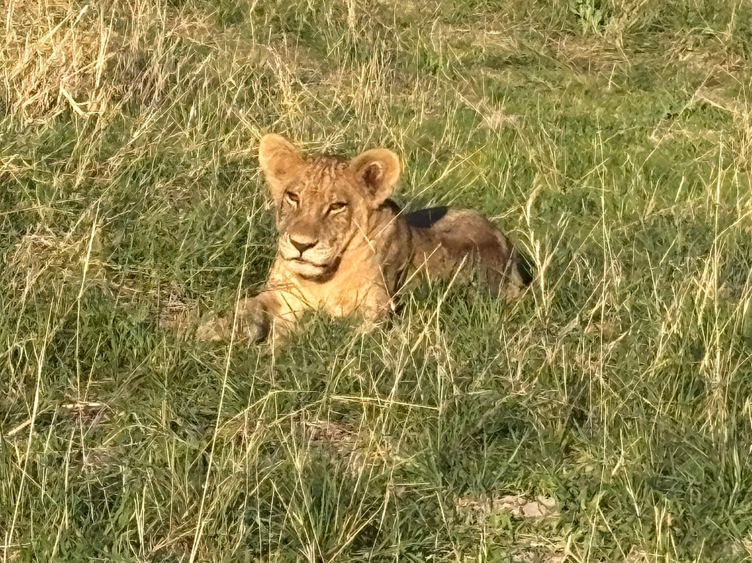 Island Mobile Safaris-马翁必去景点