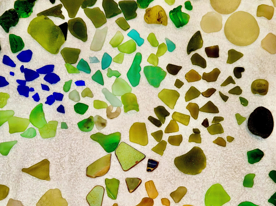 Sea Glass Tours Aruba Powered by Tranquilo Charters N.V.-萨瓦内塔必去景点