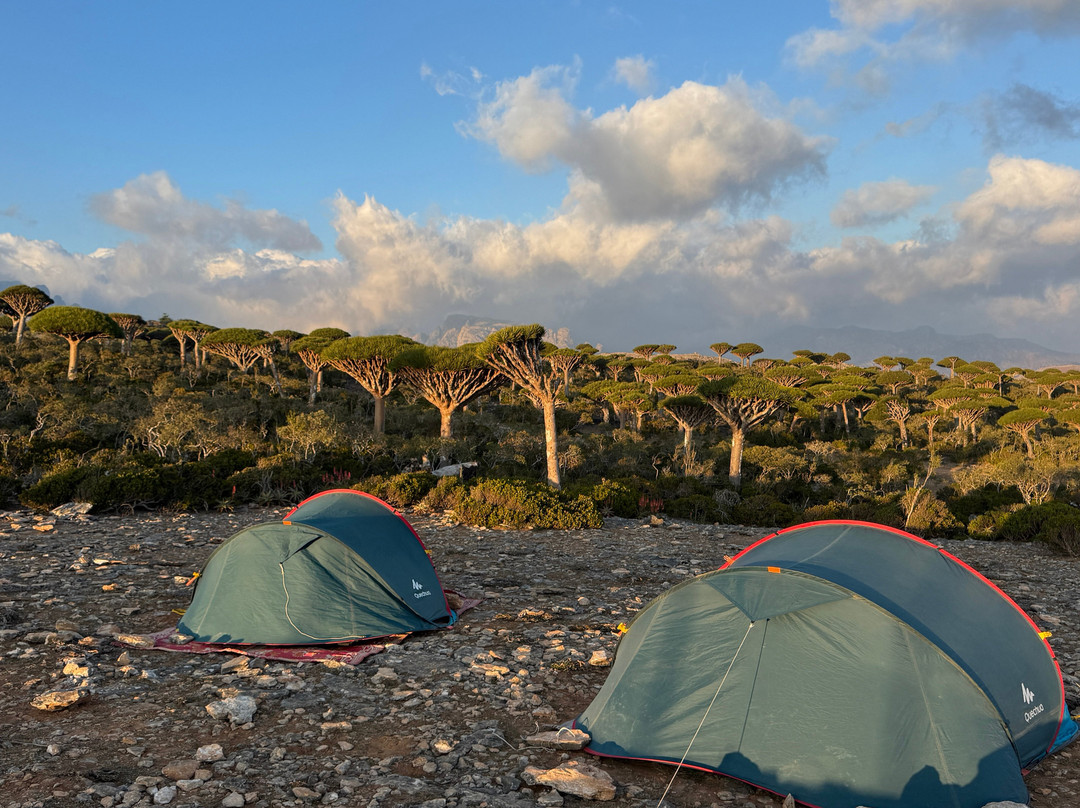 Embrace Socotra-Hadiboh必去景点