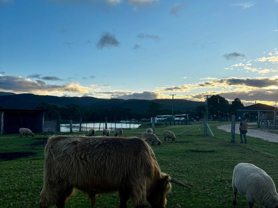Balancing Heart Vineyard-Wyberba必去景点