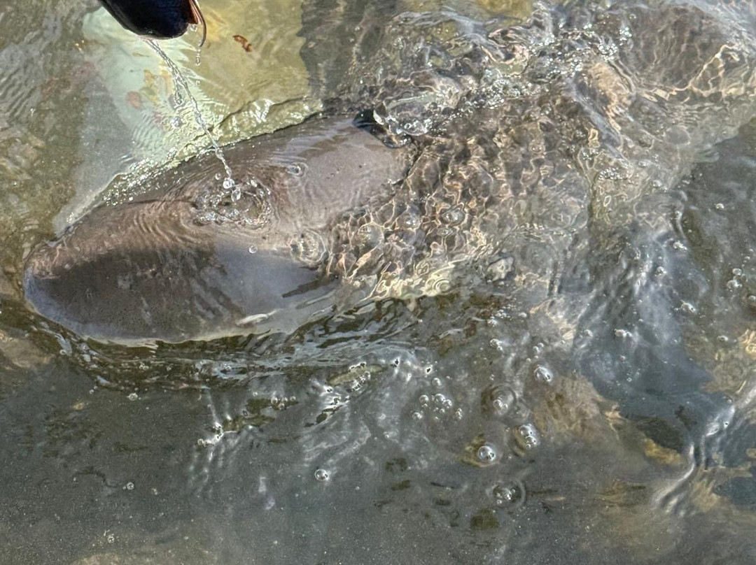 Luna Tours-Murdeira必去景点