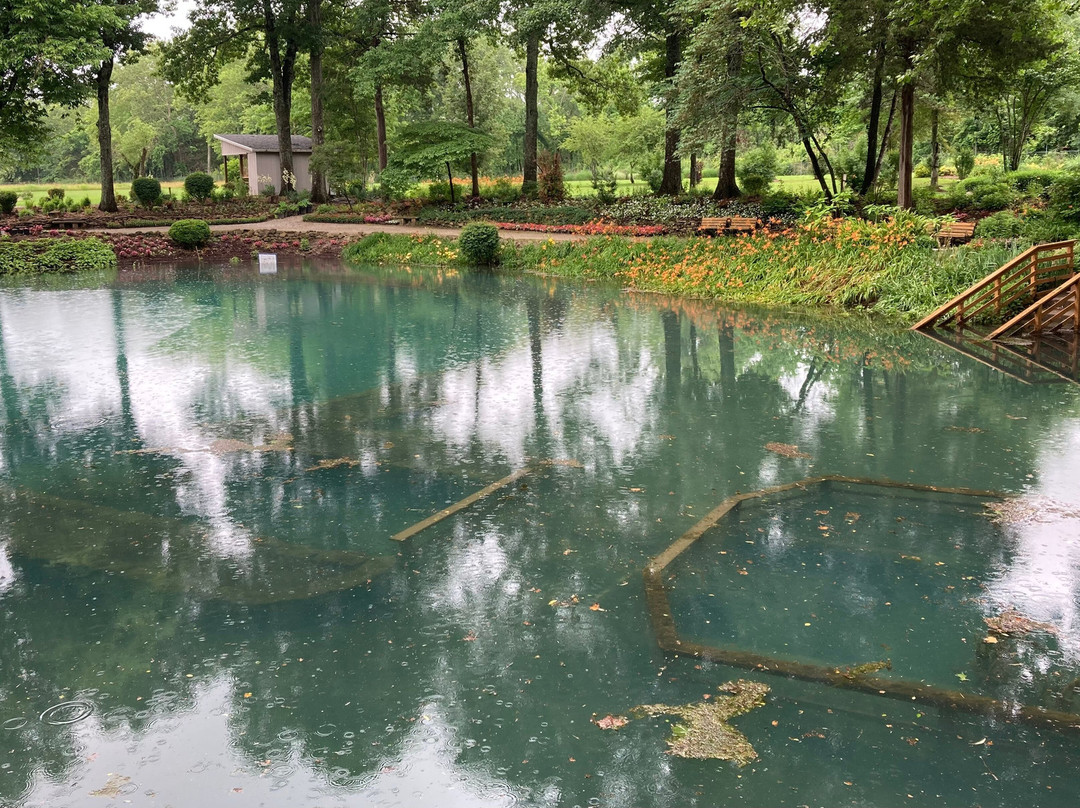 Blue Spring Heritage Center-尤里卡斯普林斯必去景点