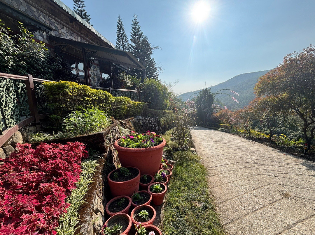 Tree of Life Resort, Dehradun Foothills主图