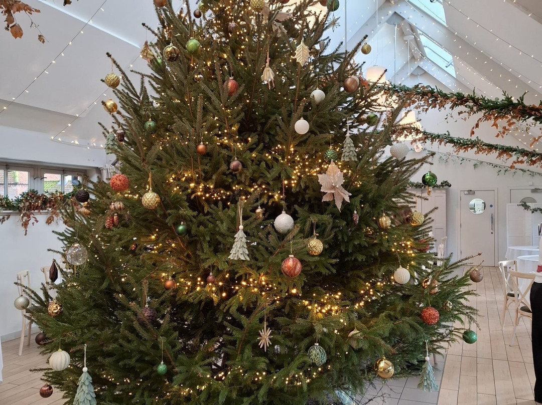 Doddington Hall & Gardens-Doddington必去景点