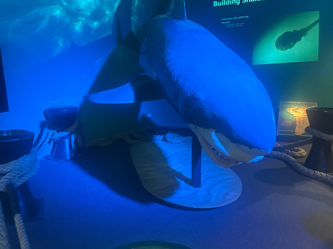 Port Pirie Regional Tourism & Arts Centre-Port Pirie必去景点