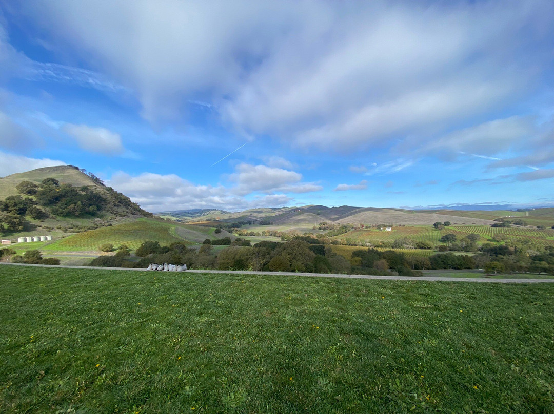 纳帕谷乡村酒庄之旅-纳帕必去景点